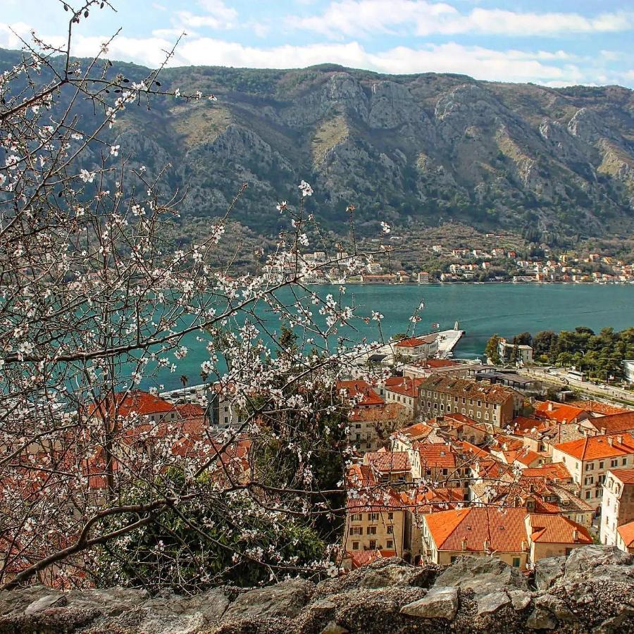 Old Town Boskovic Apartment Kotor Exteriör bild